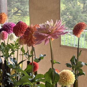 Single Bloom Competition 